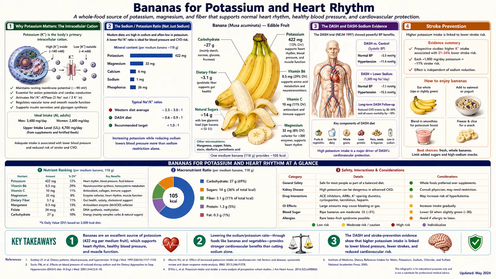 Potassium and Heart Rhythm — scientific infographic poster