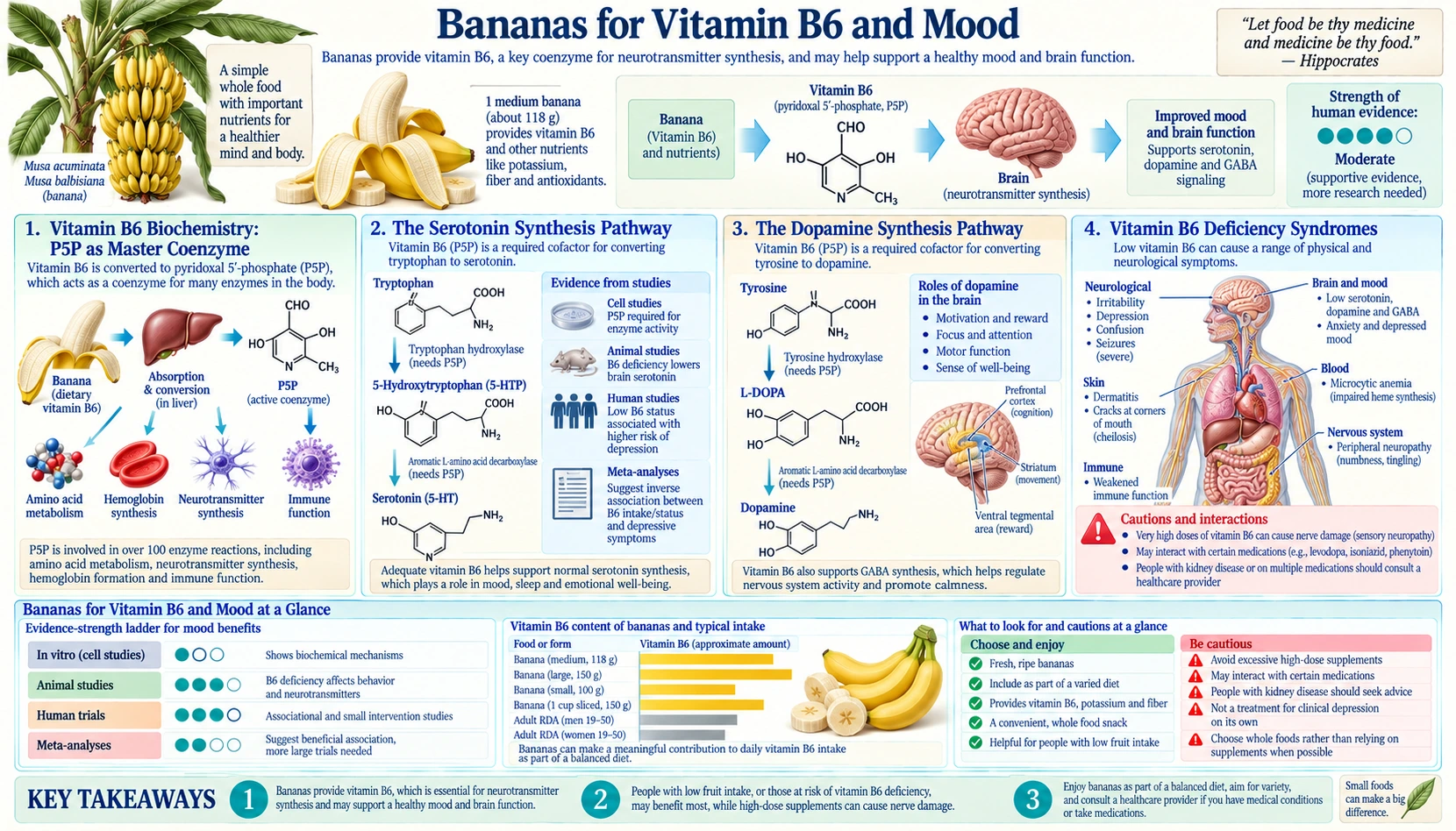 Vitamin B6 and Mood — scientific infographic poster