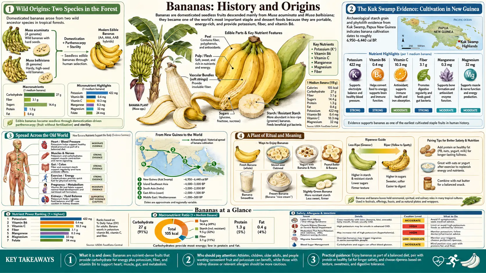 History — scientific infographic poster