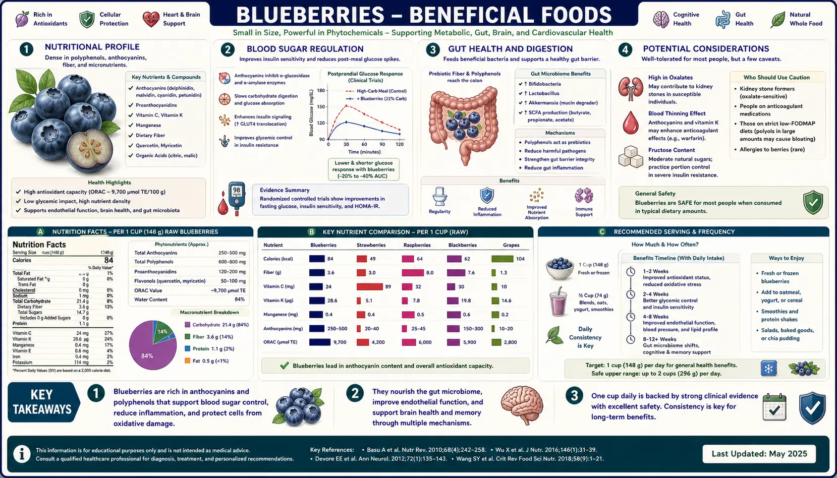 Blueberries — scientific infographic poster