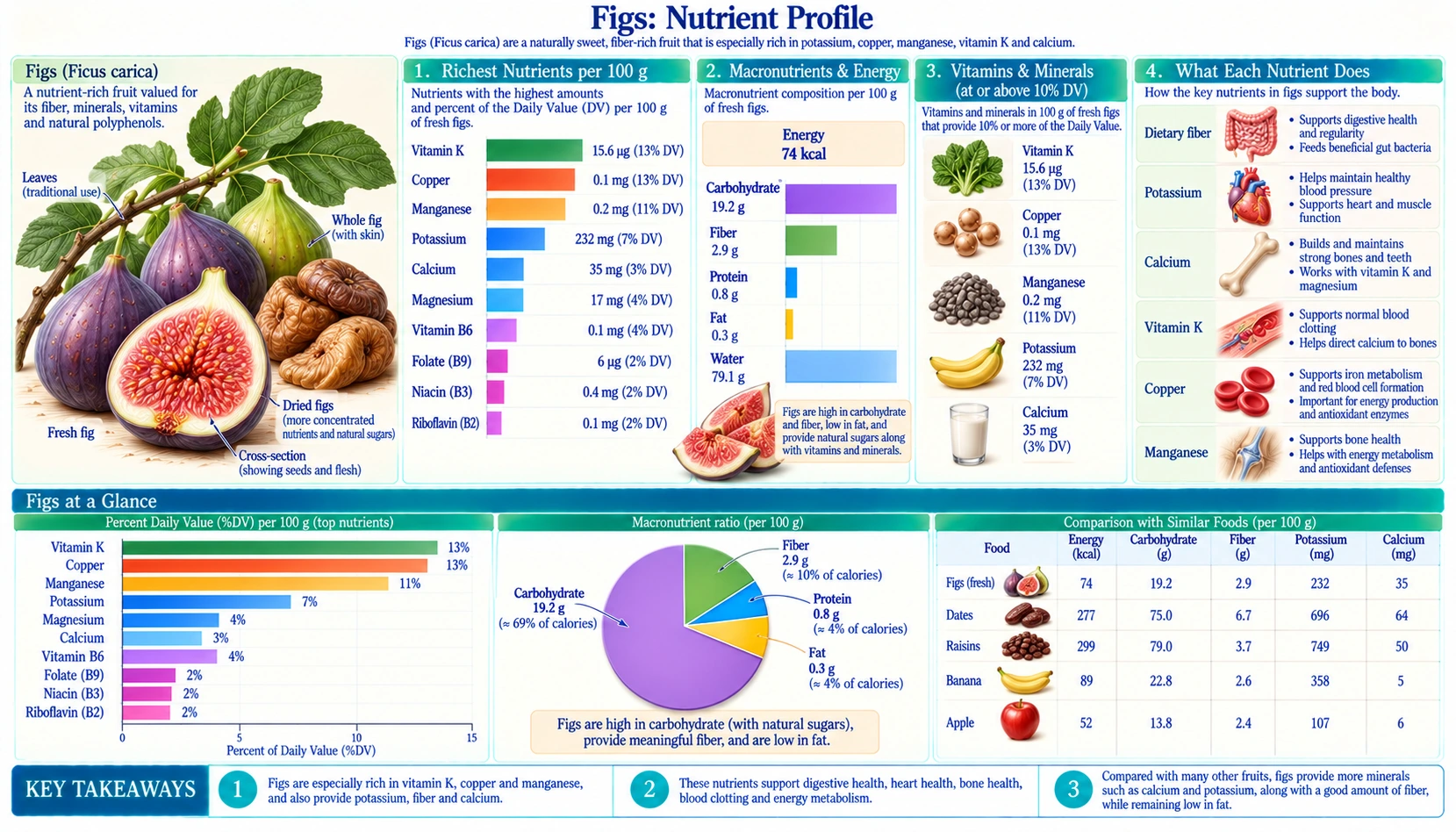 Nutrients — scientific infographic poster