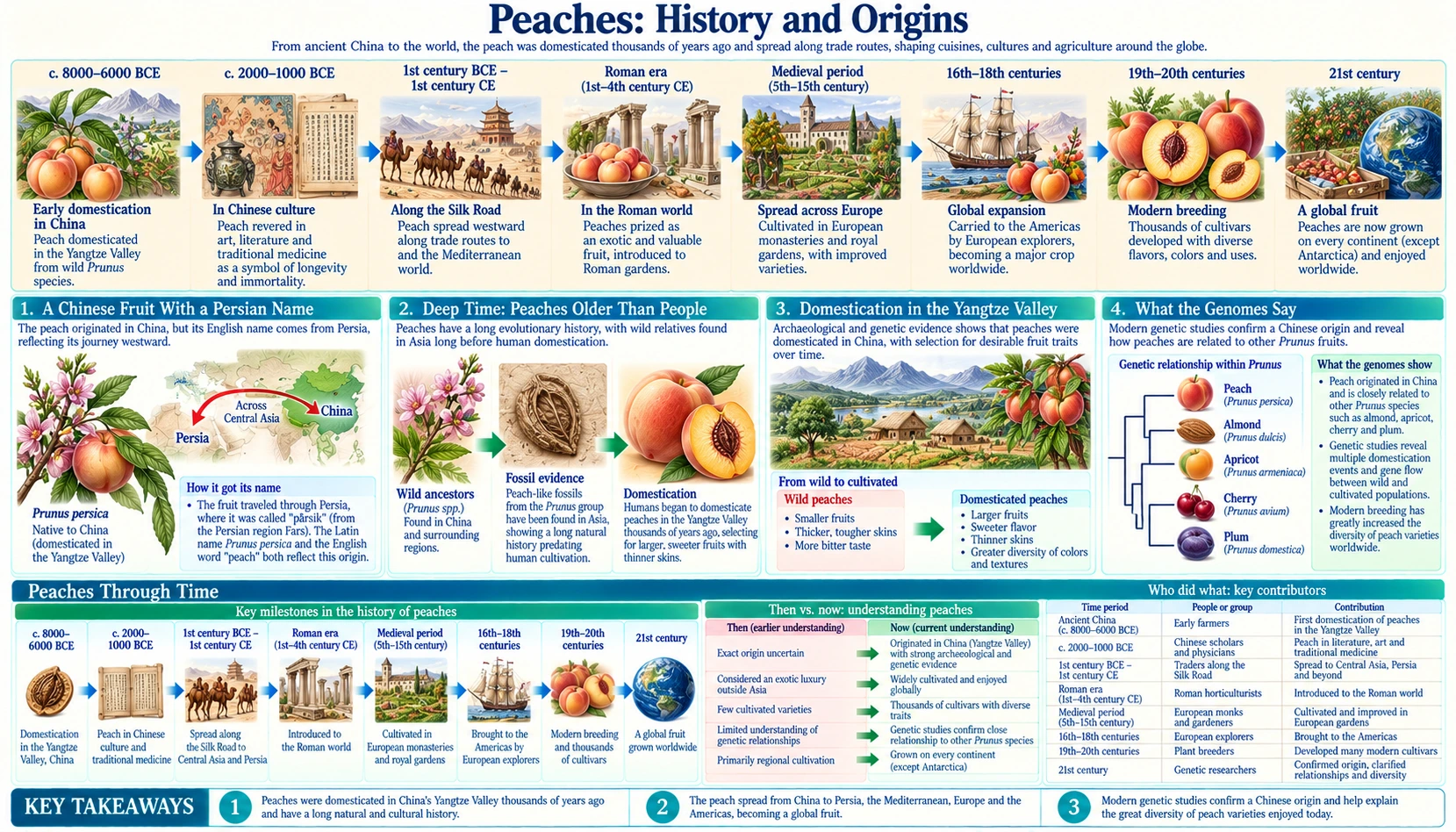History — scientific infographic poster