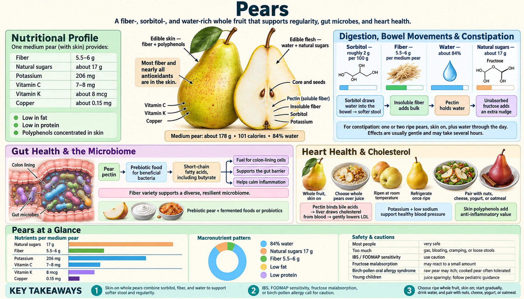 Pears — scientific infographic poster