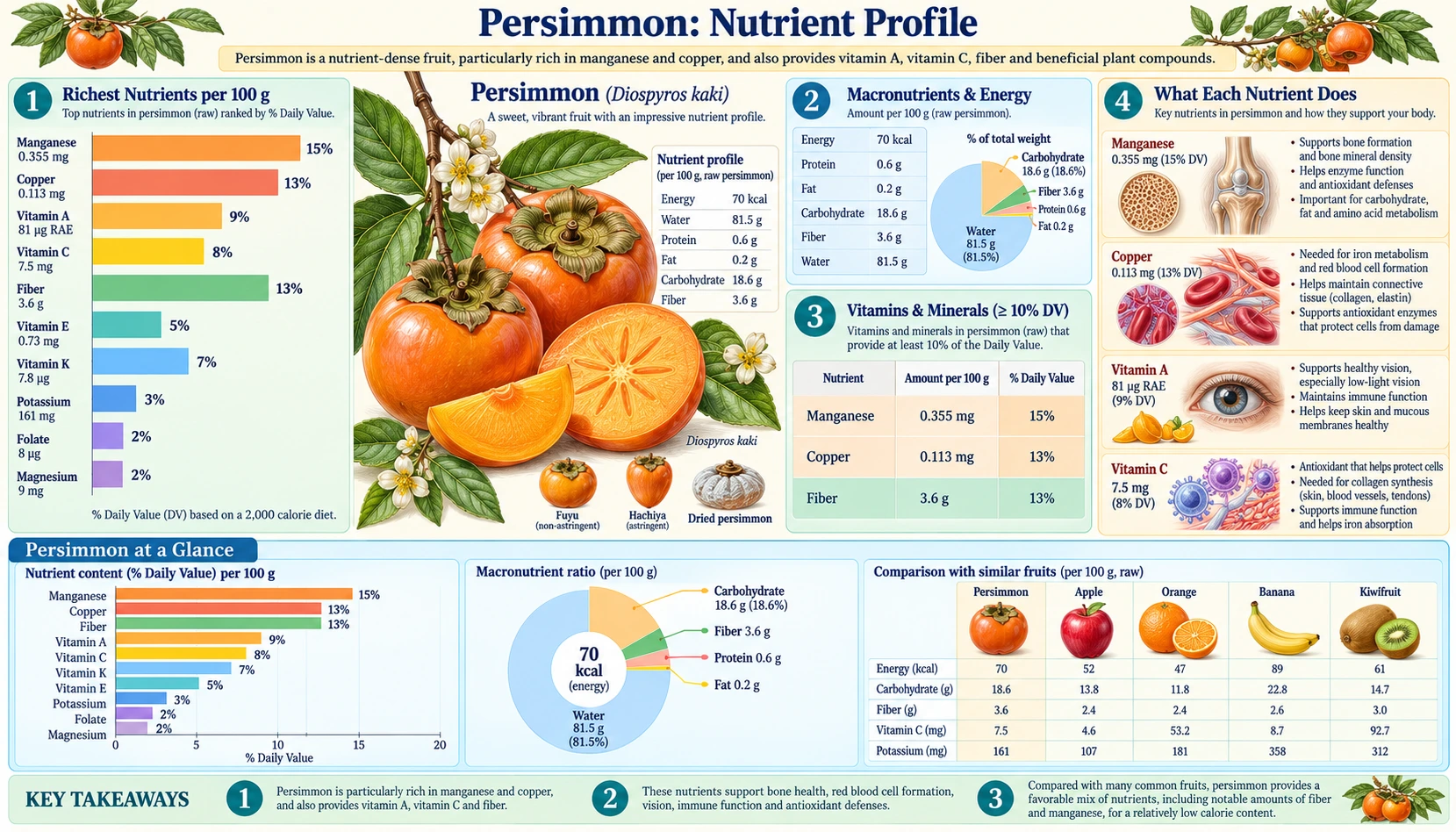 Nutrients — scientific infographic poster