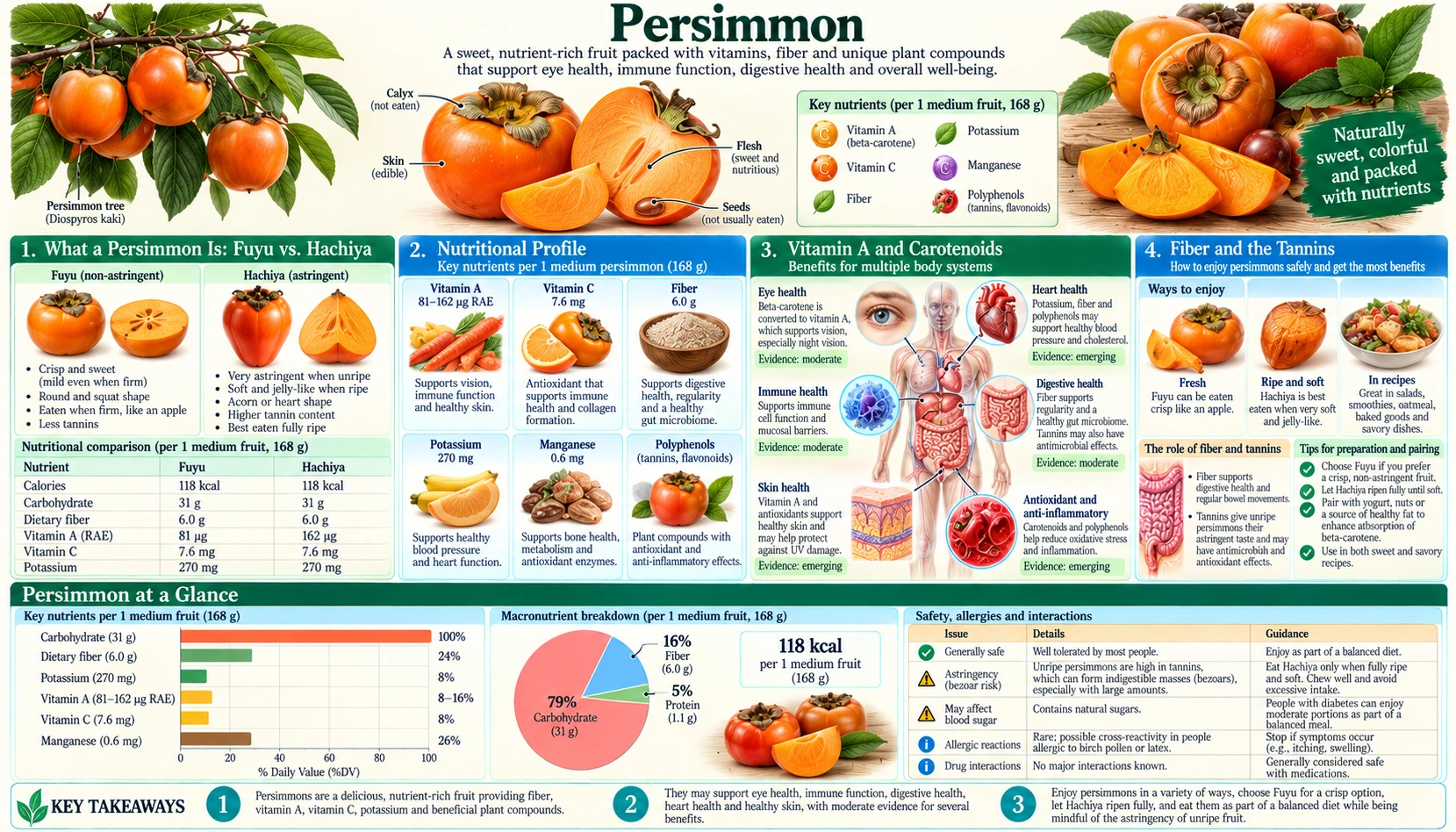 Persimmon — scientific infographic poster