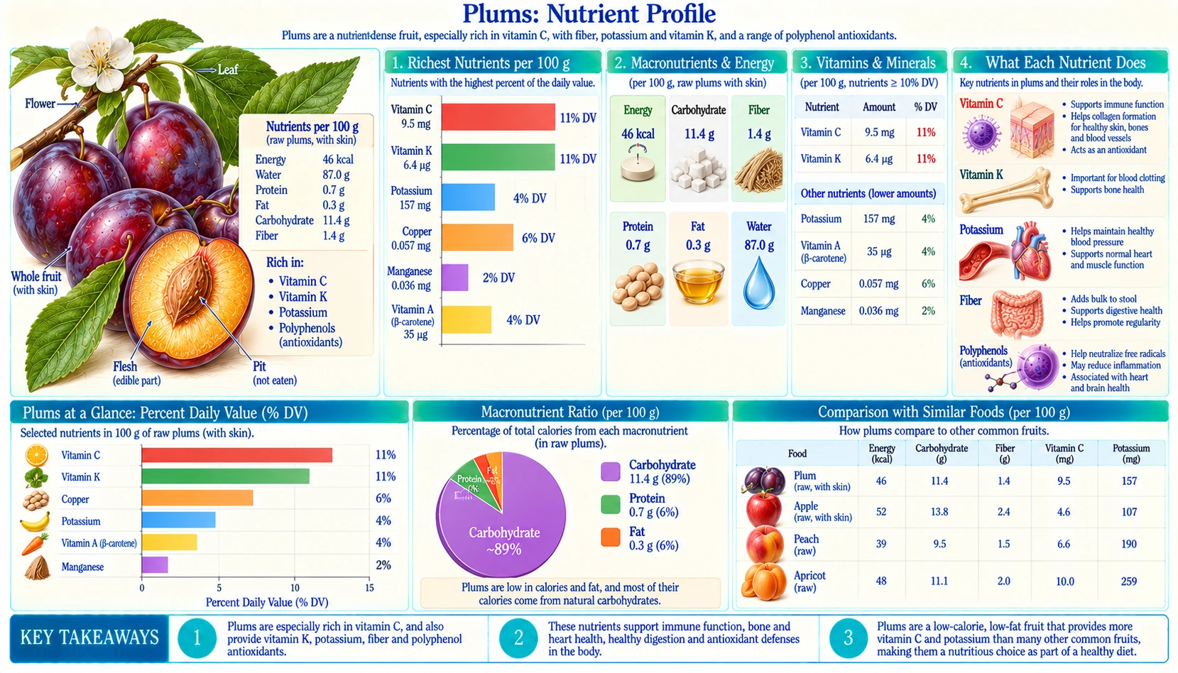 Nutrients — scientific infographic poster