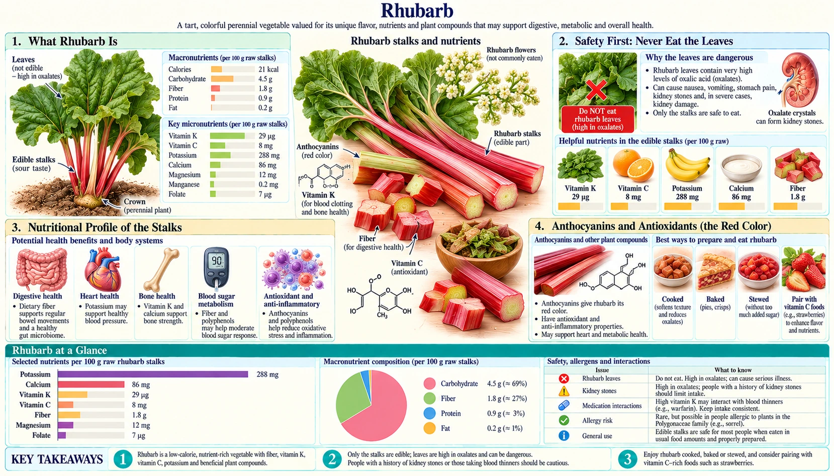 Rhubarb — scientific infographic poster