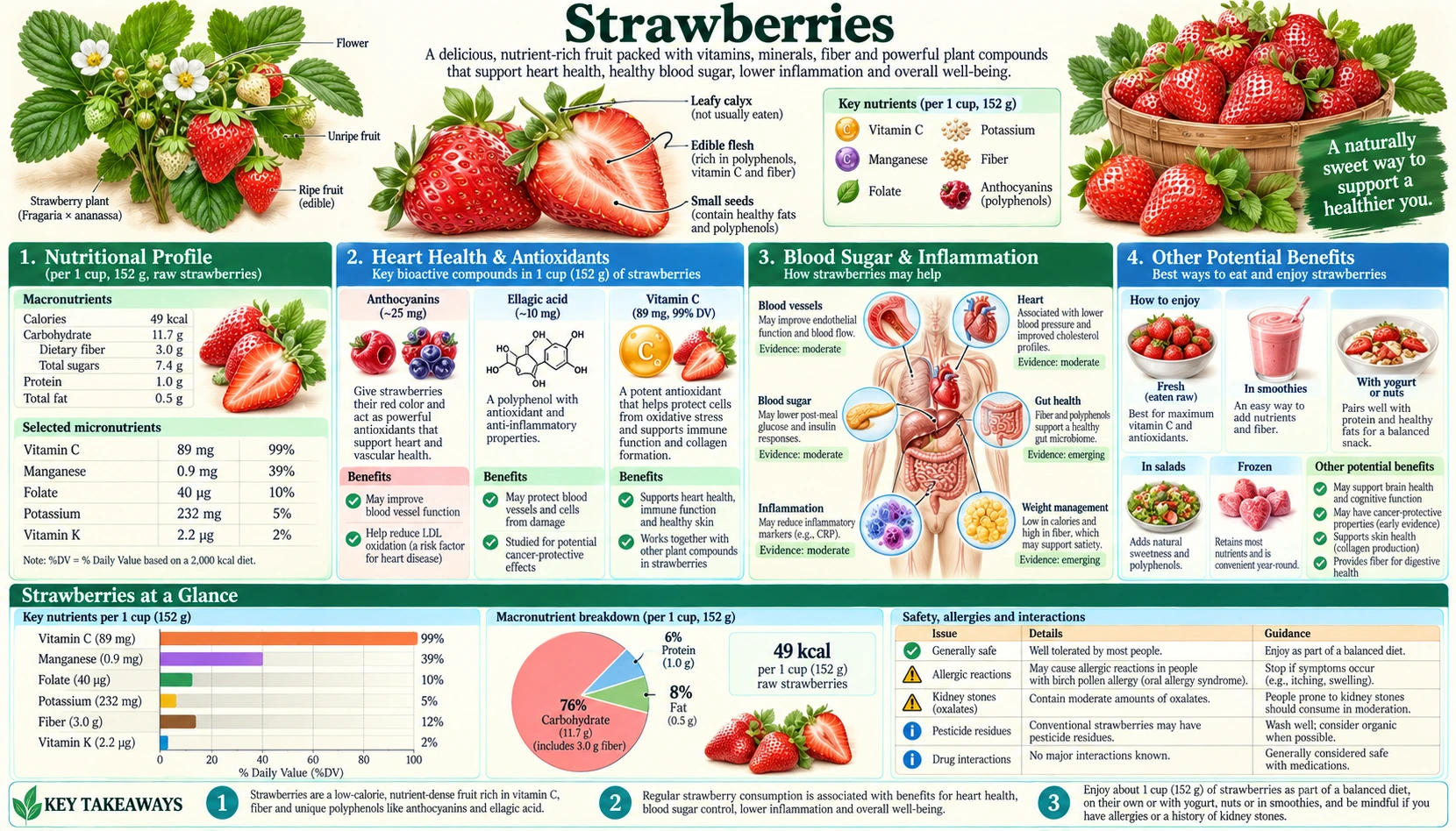 Strawberries — scientific infographic poster