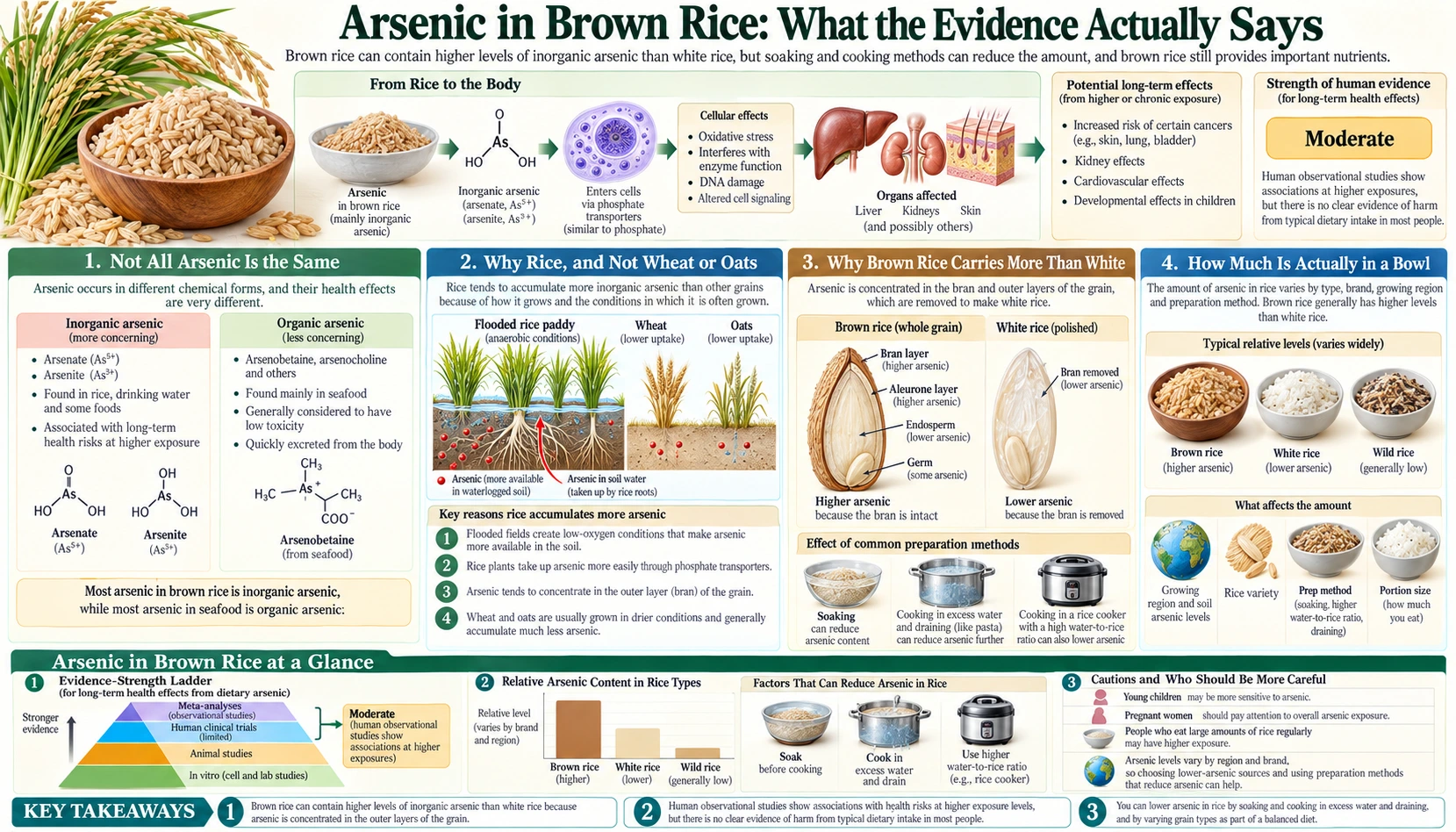 Arsenic and Safe Cooking — scientific infographic poster