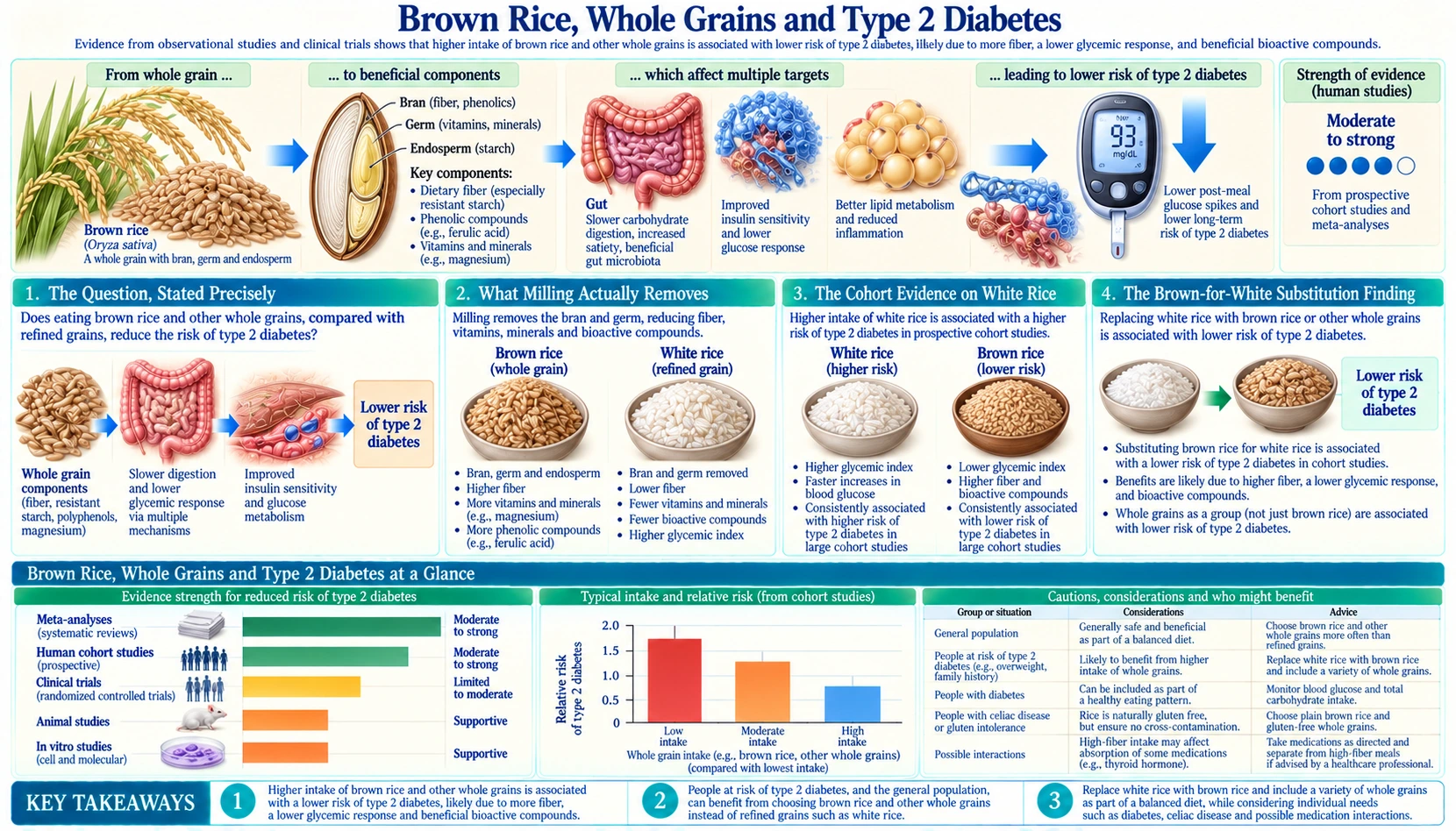 Whole Grain and Diabetes — scientific infographic poster