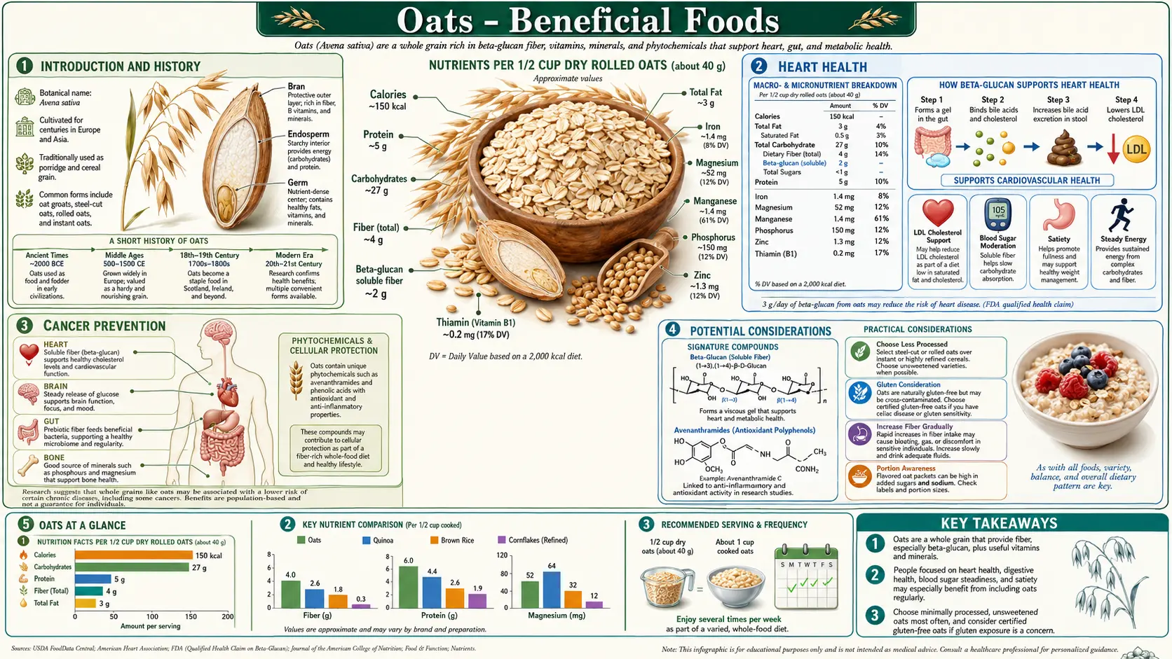 Oats — scientific infographic poster