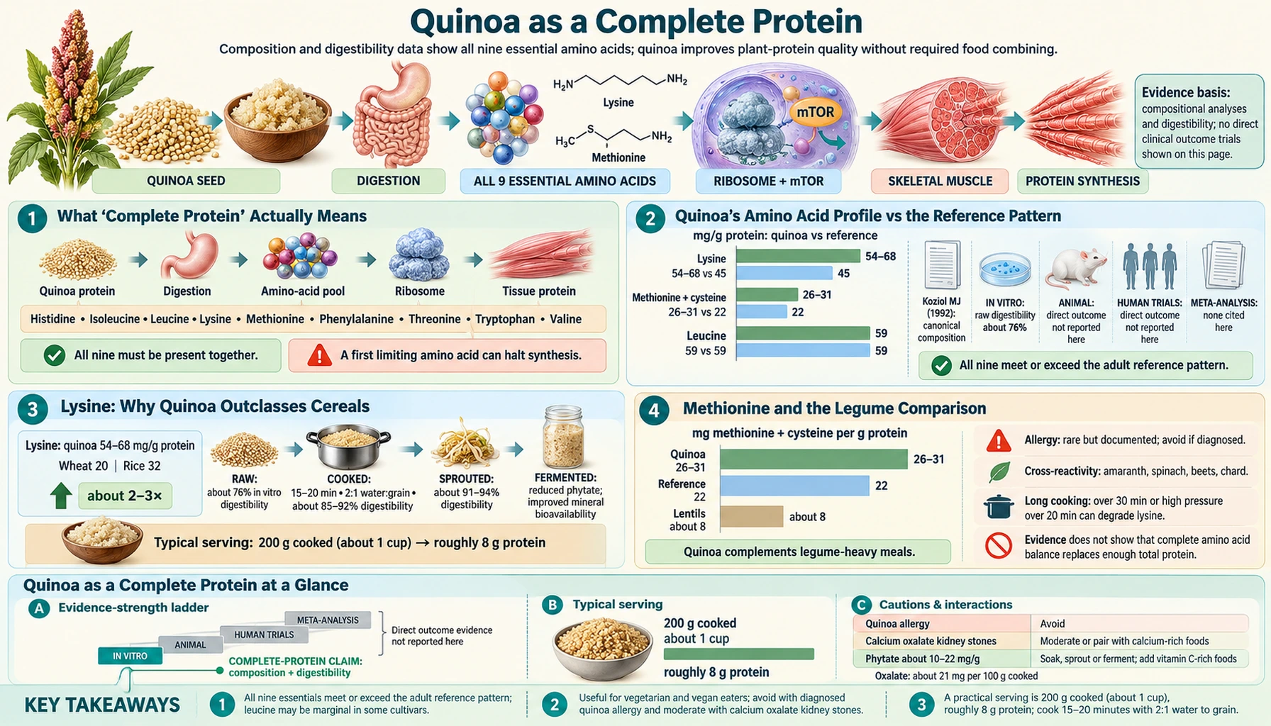 Complete Protein — scientific infographic poster