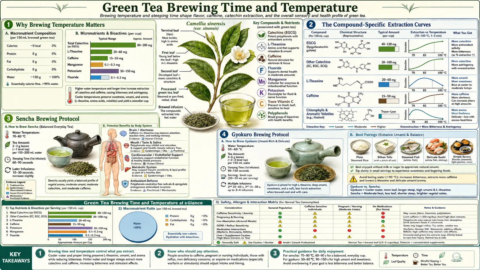 Brewing Time and Temperature — scientific infographic poster