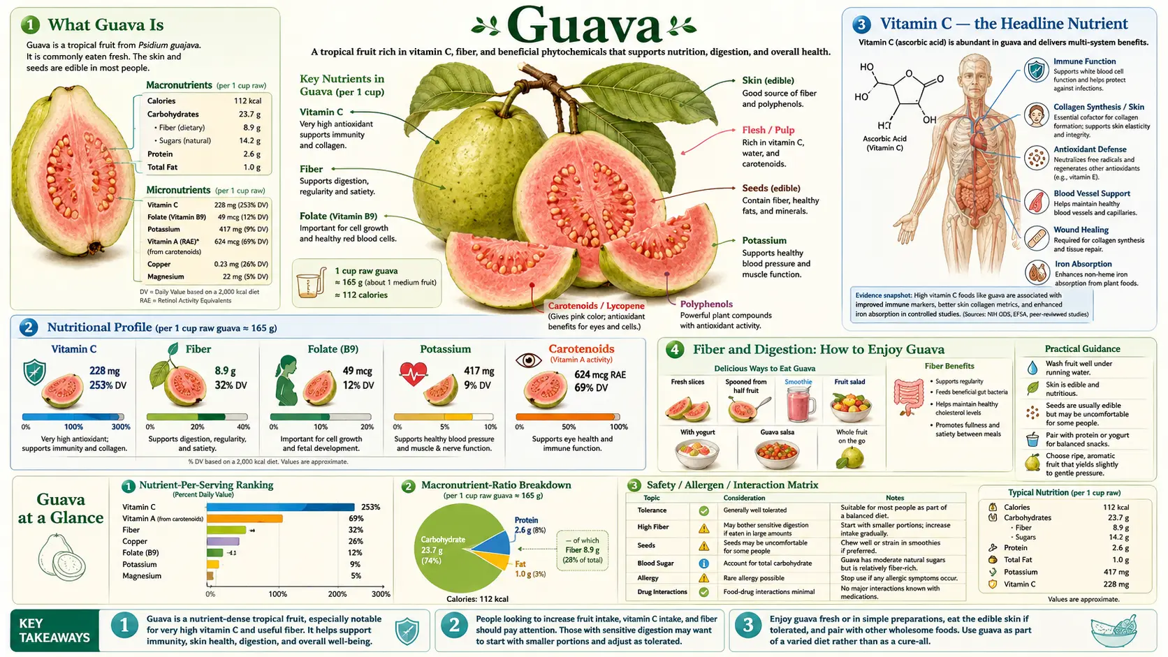 Guava — scientific infographic poster