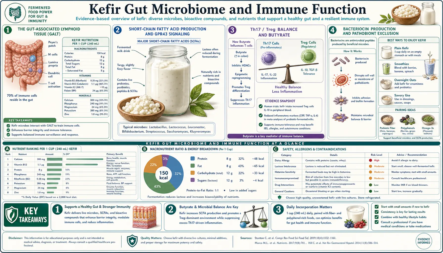 Gut Microbiome and Immune — scientific infographic poster