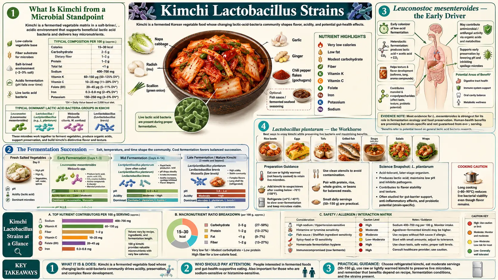 Lactobacillus Strains — scientific infographic poster