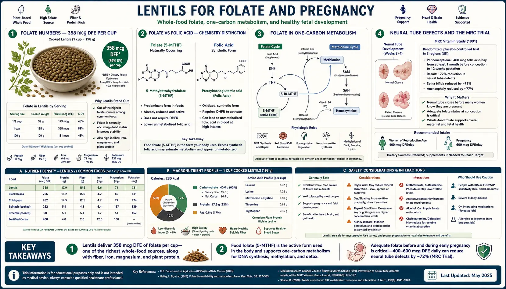 Folate and Pregnancy — scientific infographic poster