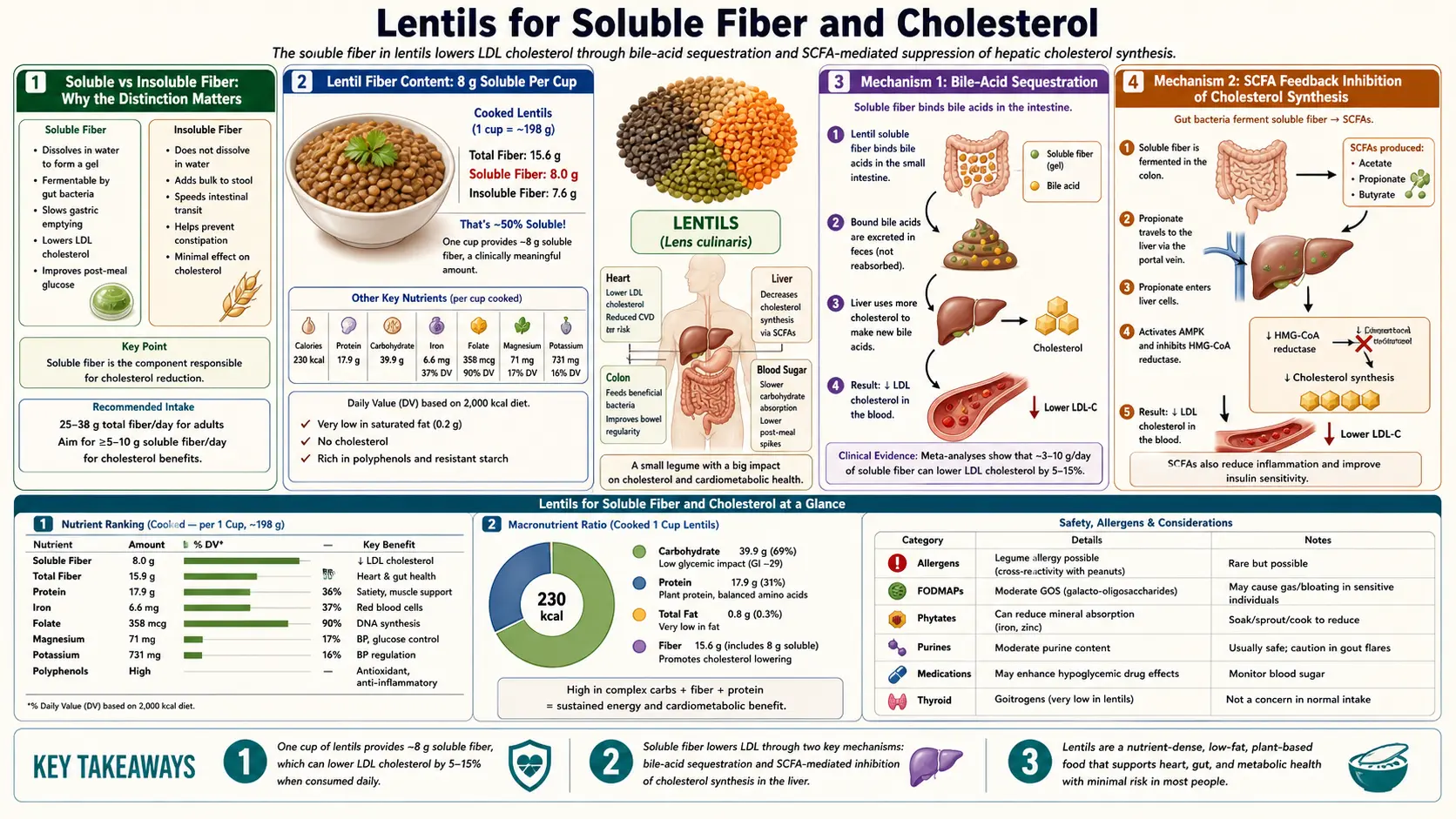 Soluble Fiber and Cholesterol — scientific infographic poster