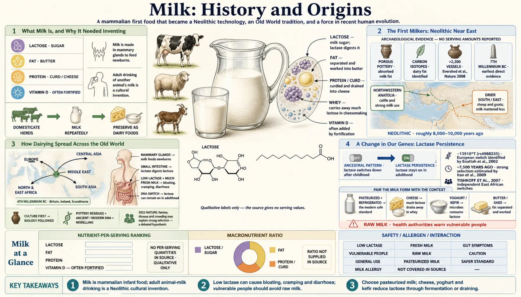 History — scientific infographic poster
