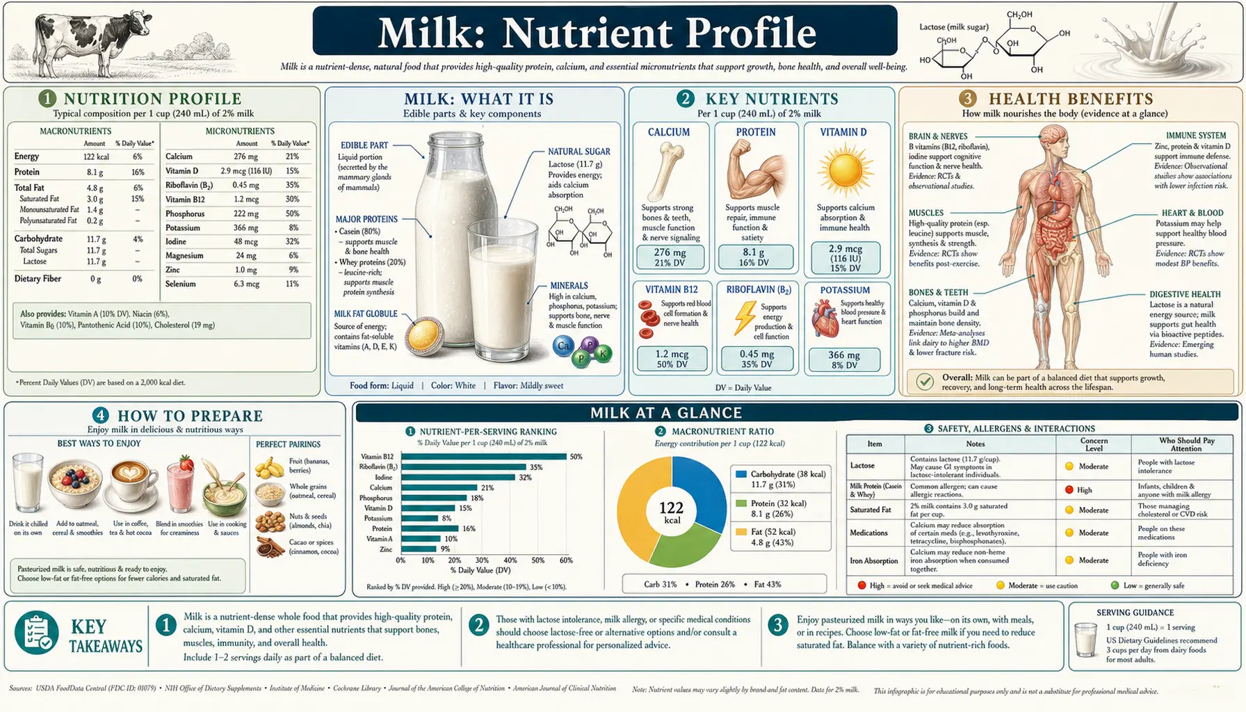 Nutrients — scientific infographic poster