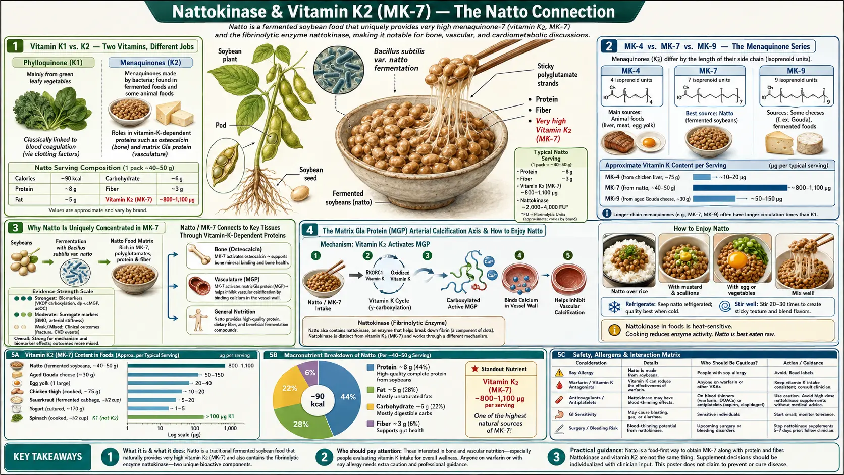 Vitamin K2 Connection — scientific infographic poster