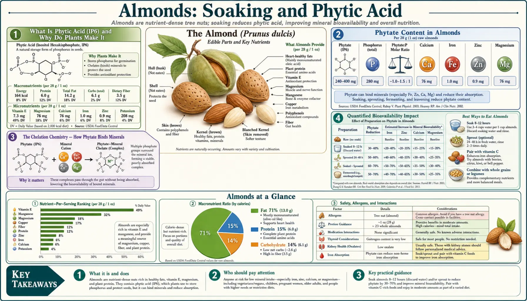 Soaking and Phytic Acid — scientific infographic poster