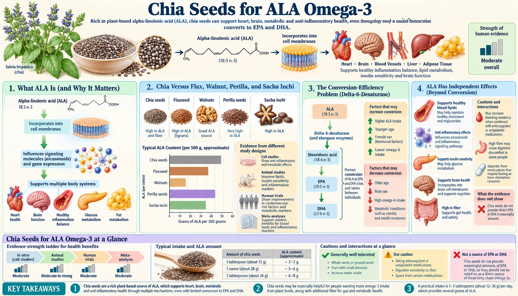 ALA Omega 3 — scientific infographic poster