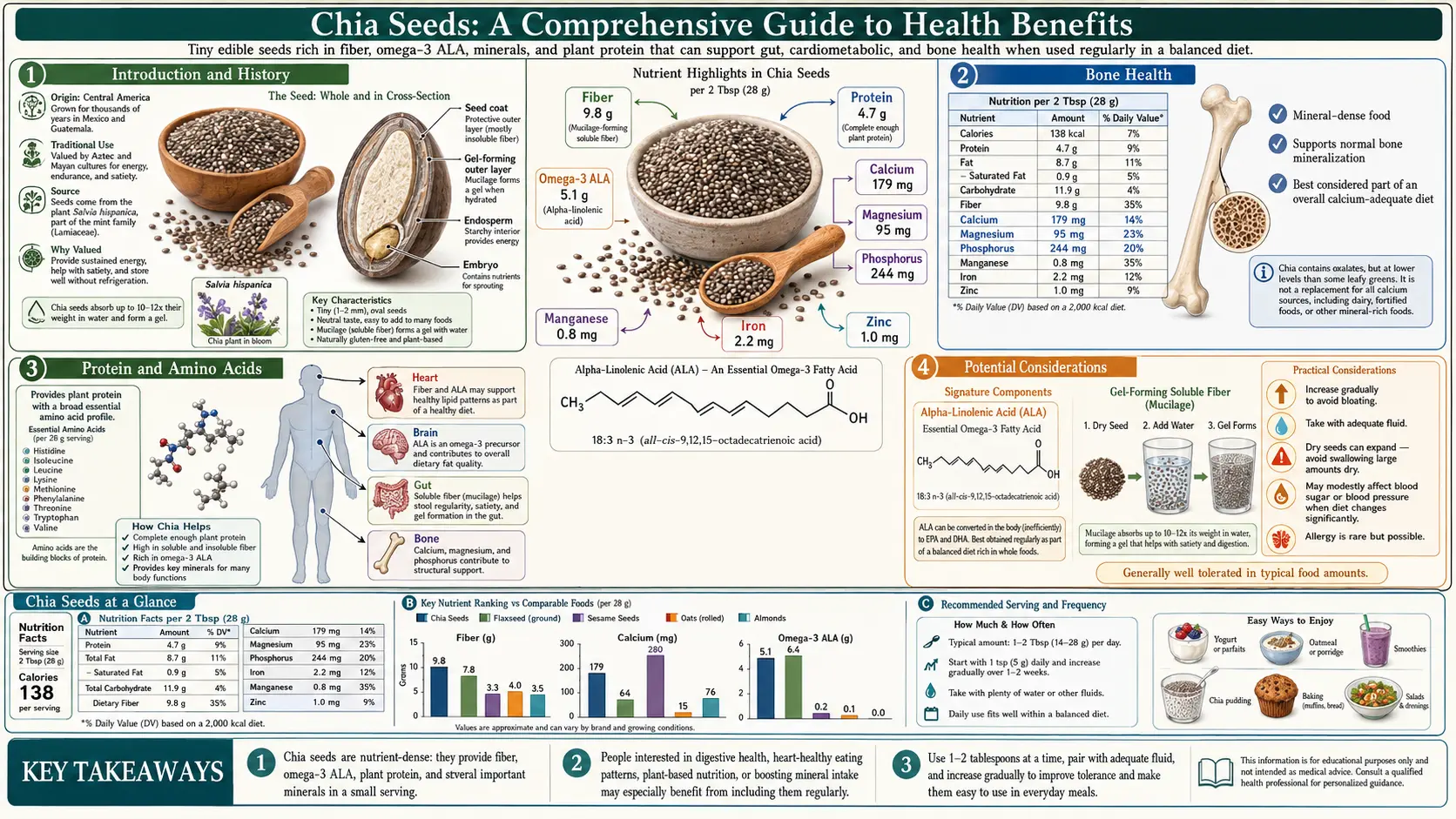 Chia Seeds — scientific infographic poster