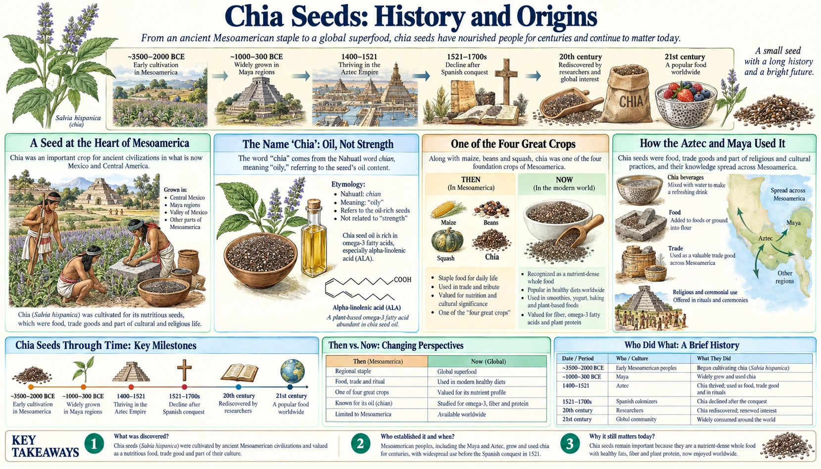 History — scientific infographic poster