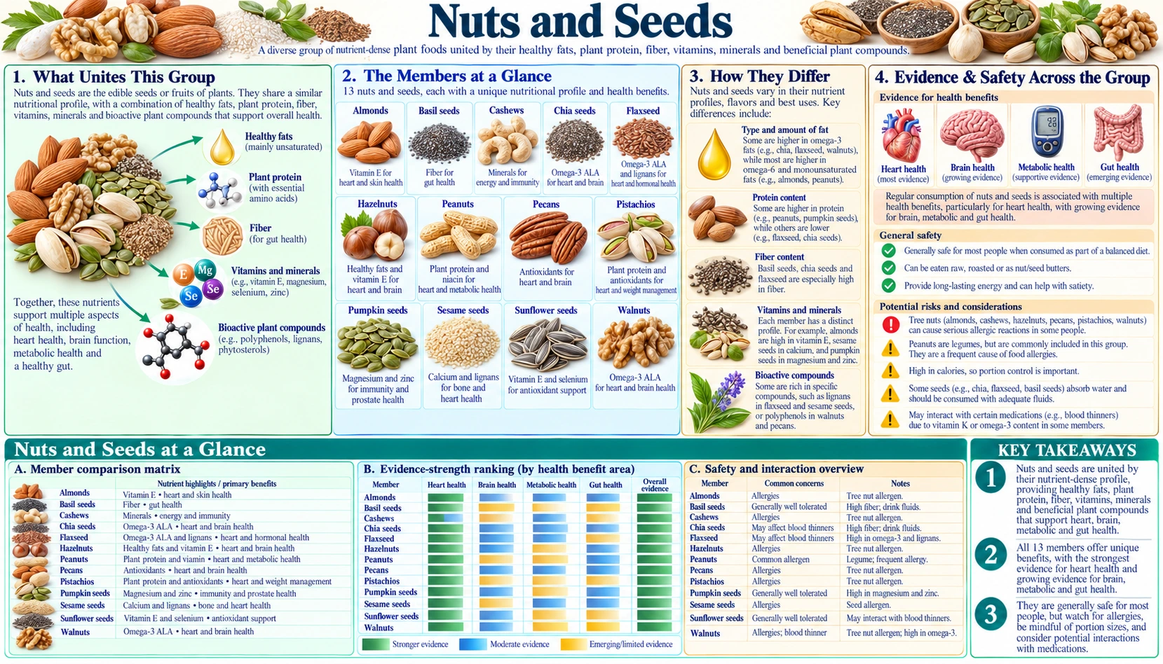 Nuts and Seeds — scientific infographic poster