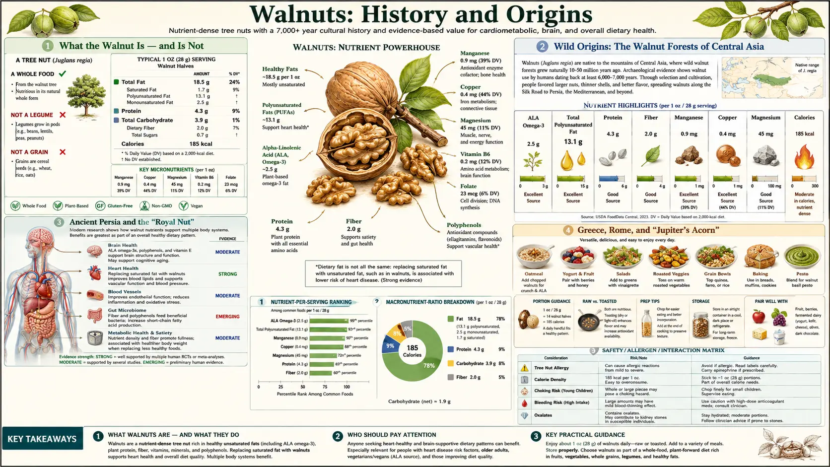 History — scientific infographic poster