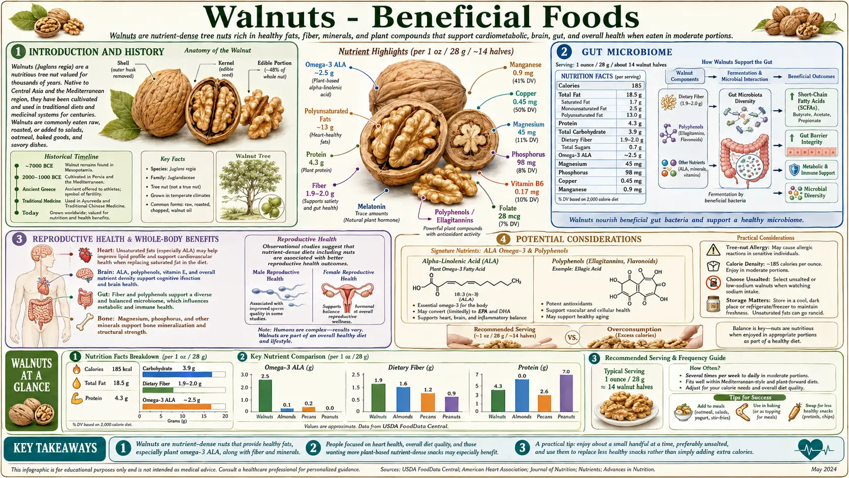 Walnuts — scientific infographic poster