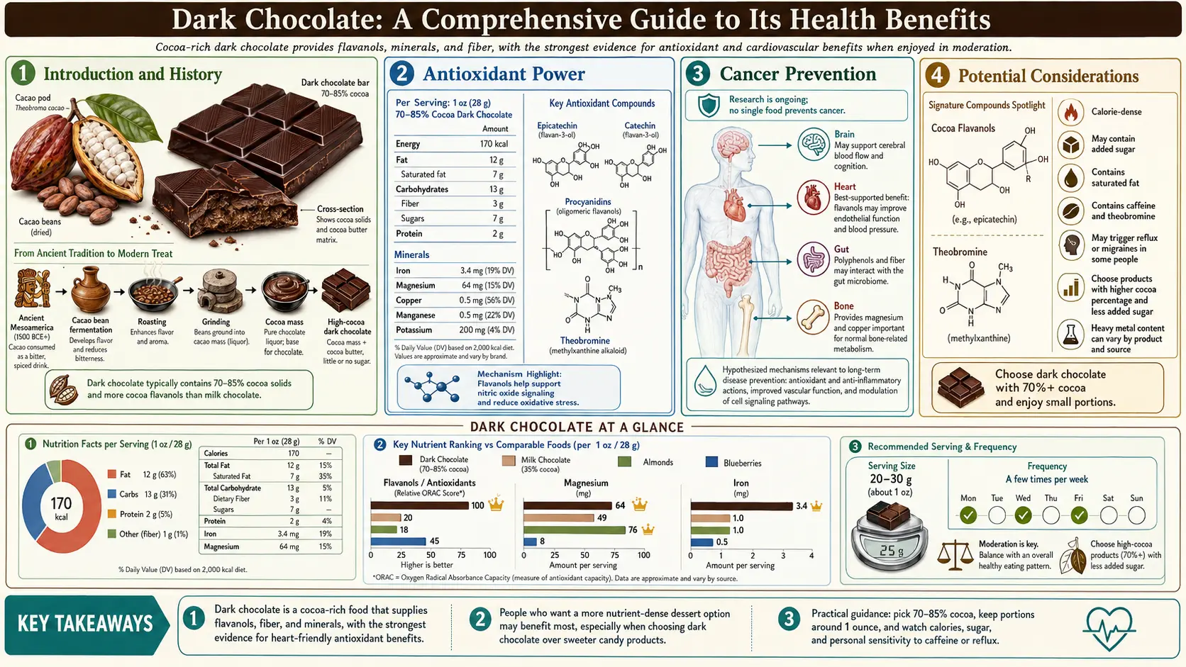 Dark Chocolate — scientific infographic poster