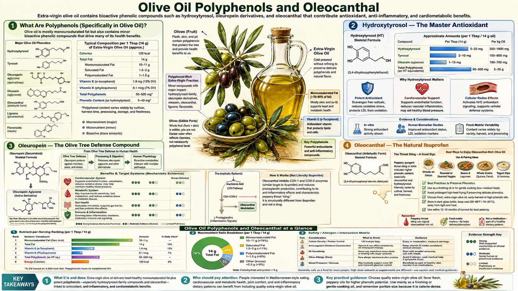 Polyphenols and Oleocanthal — scientific infographic poster