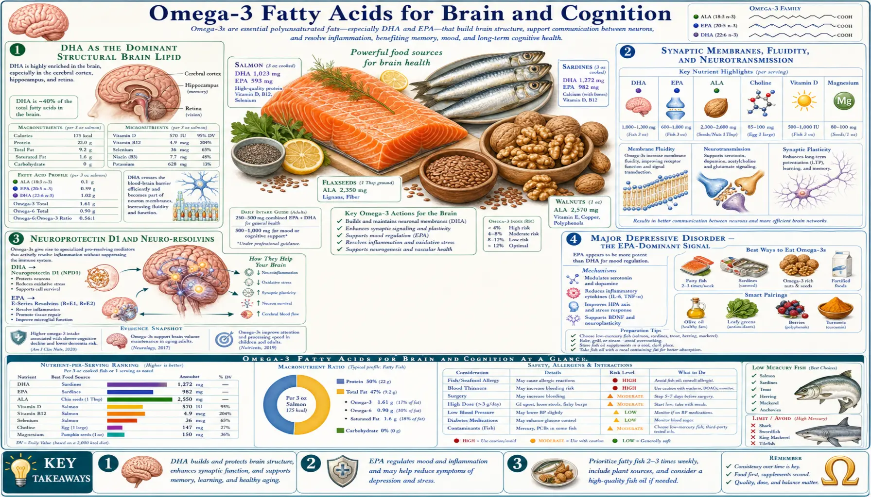 Brain and Cognition — scientific infographic poster