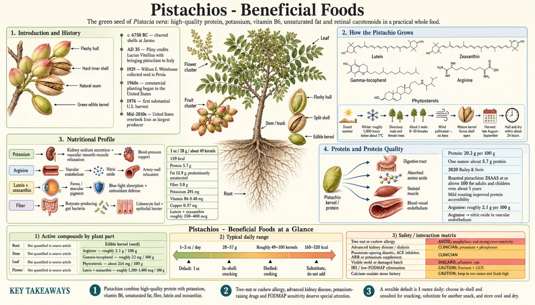 Pistachios — scientific infographic poster