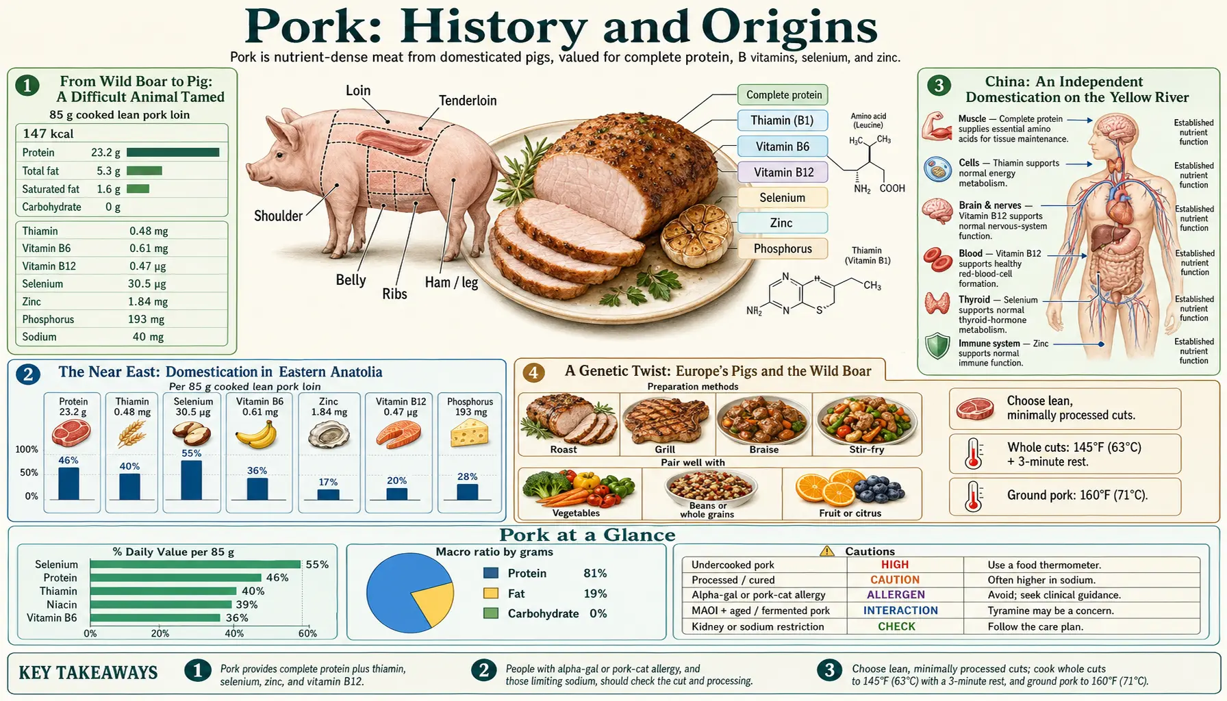 History — scientific infographic poster