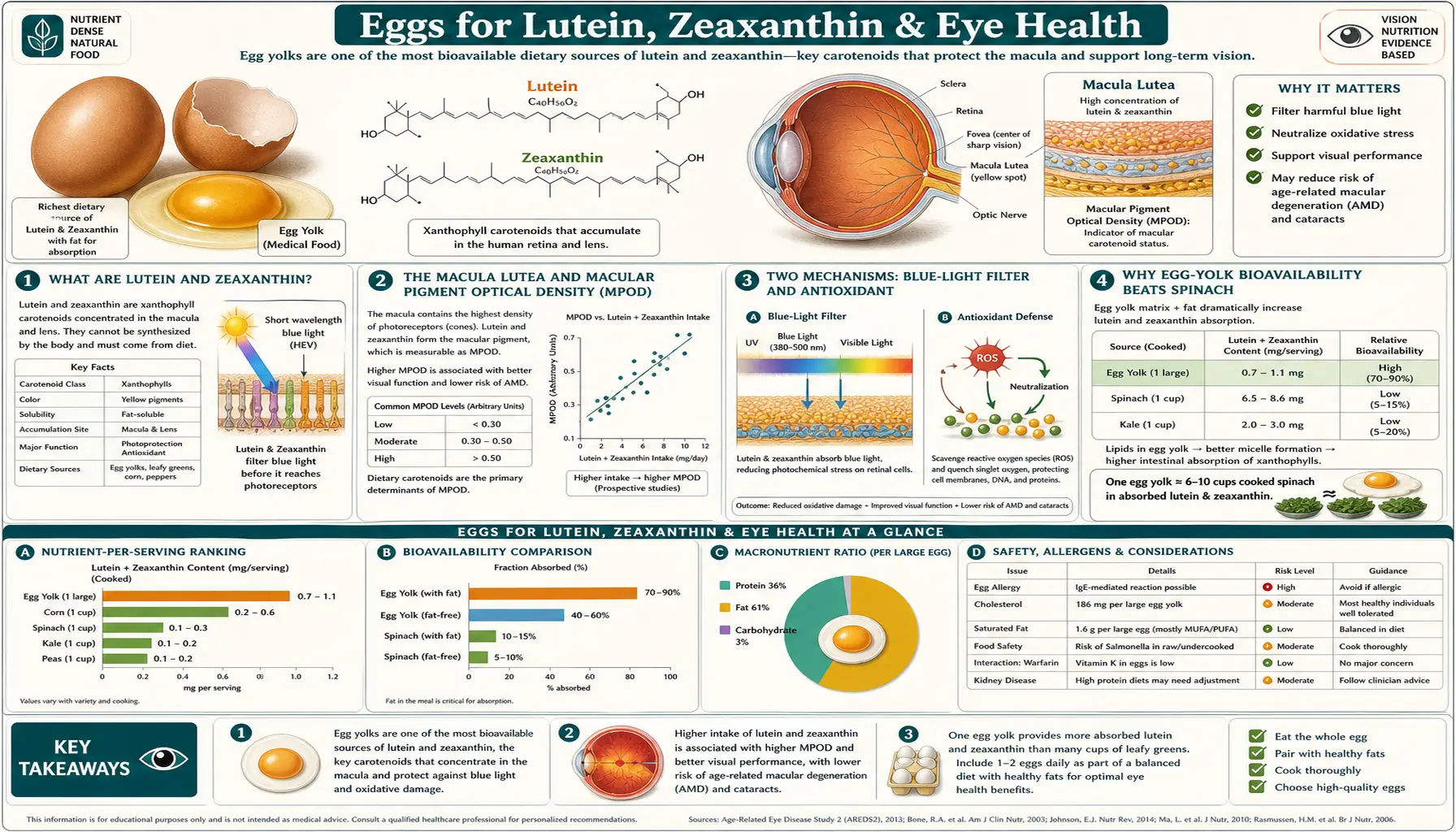 Lutein Zeaxanthin and Eyes — scientific infographic poster