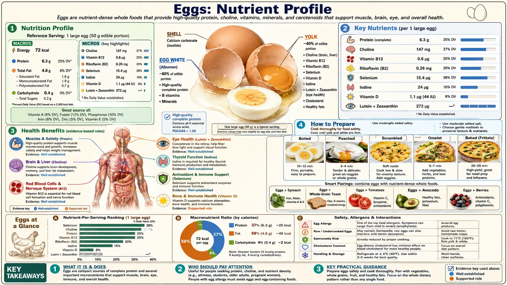 Nutrients — scientific infographic poster