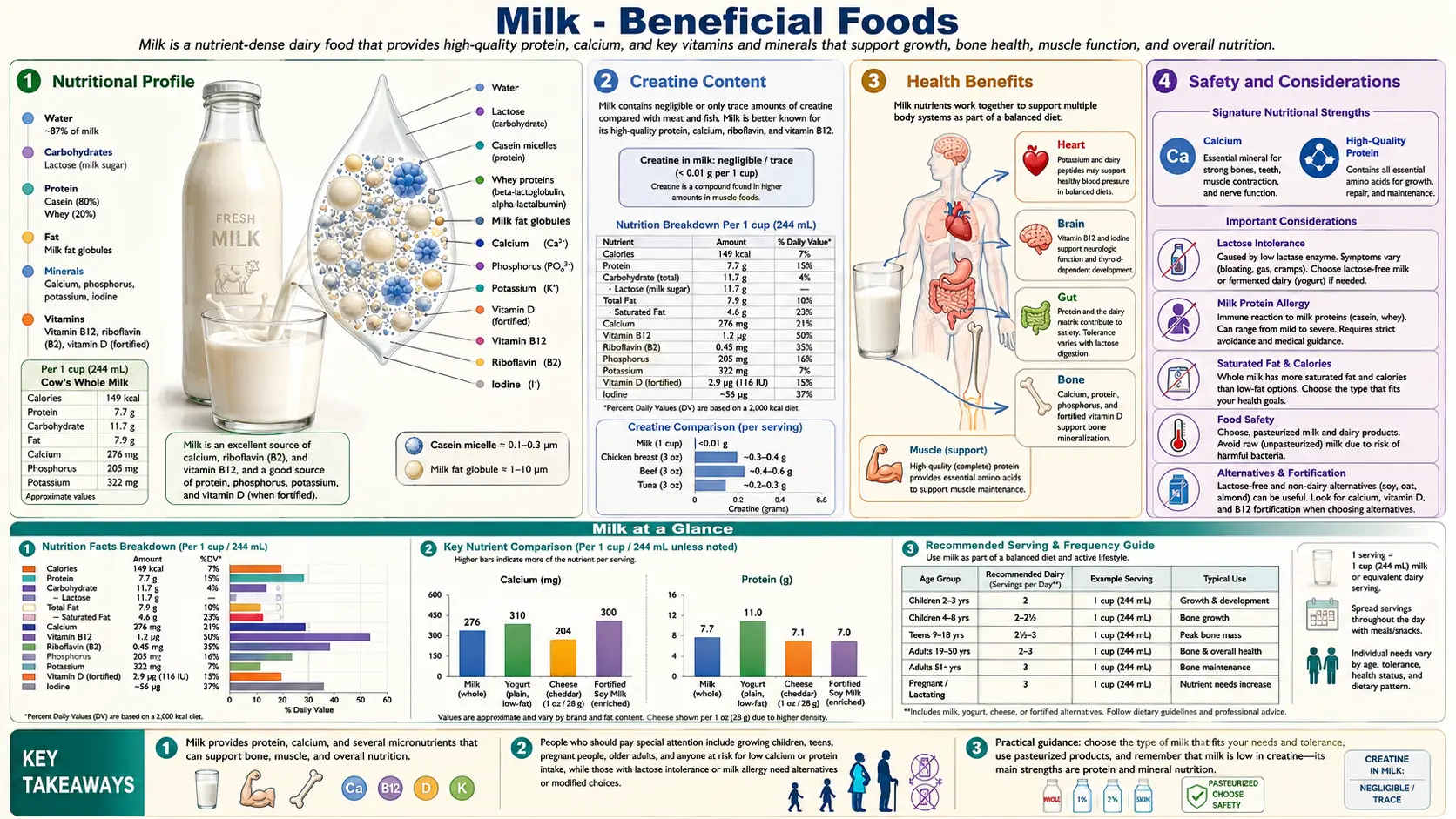 Milk — scientific infographic poster