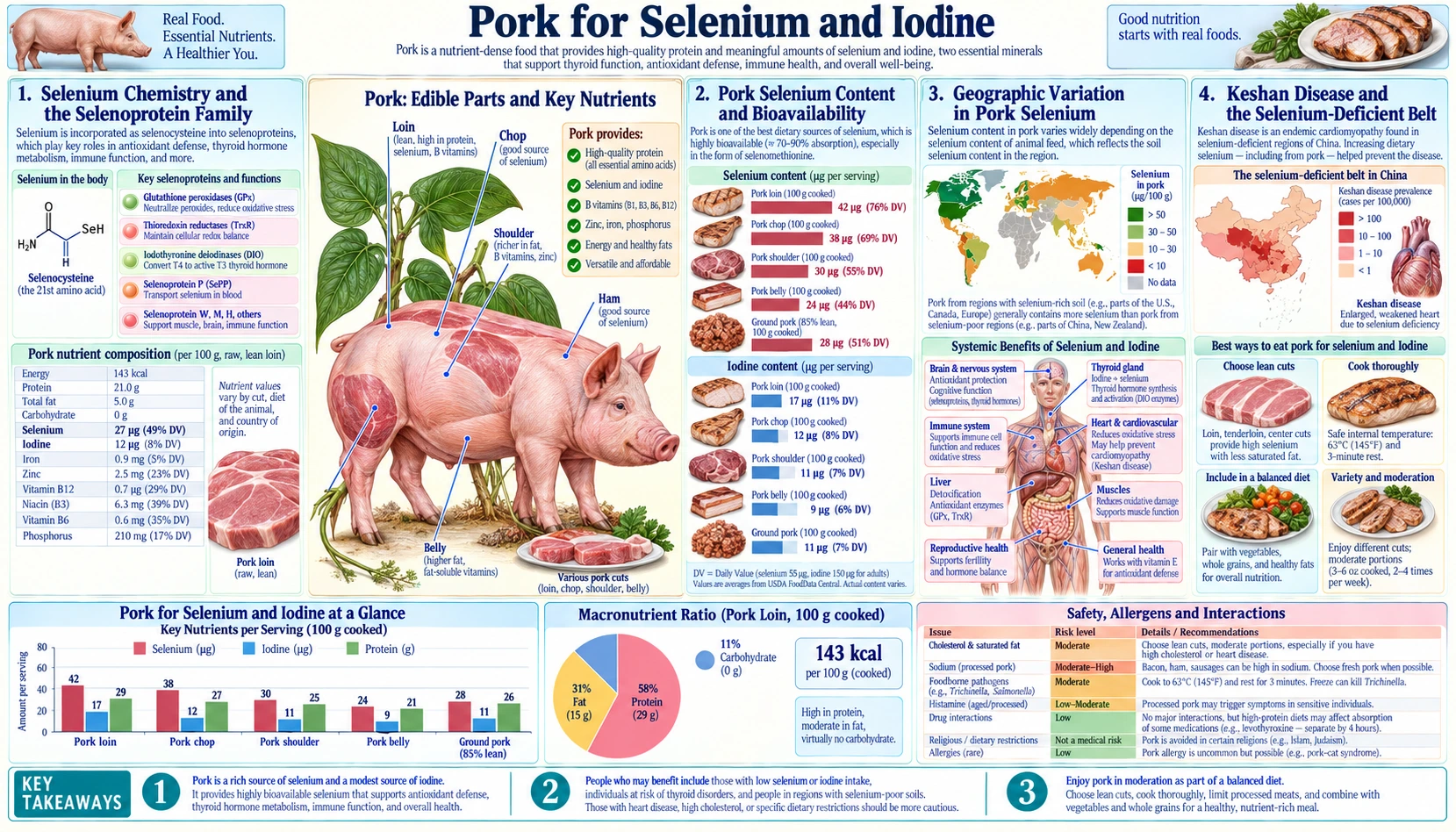 Selenium and Iodine — scientific infographic poster