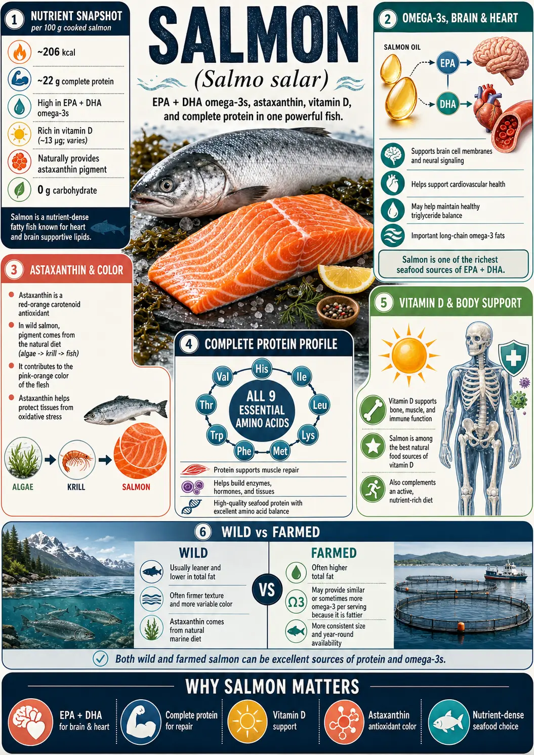 Salmon