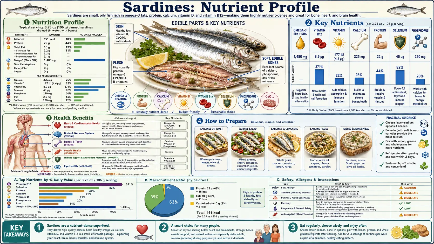 Nutrients — scientific infographic poster