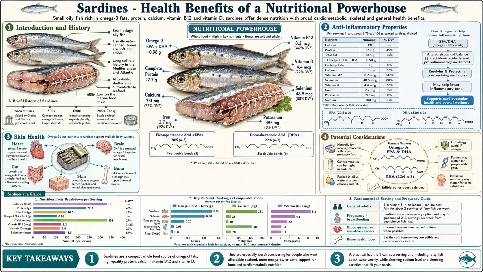 Sardines — scientific infographic poster
