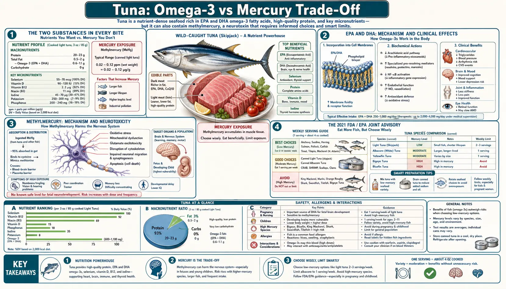 Omega 3 vs Mercury — scientific infographic poster