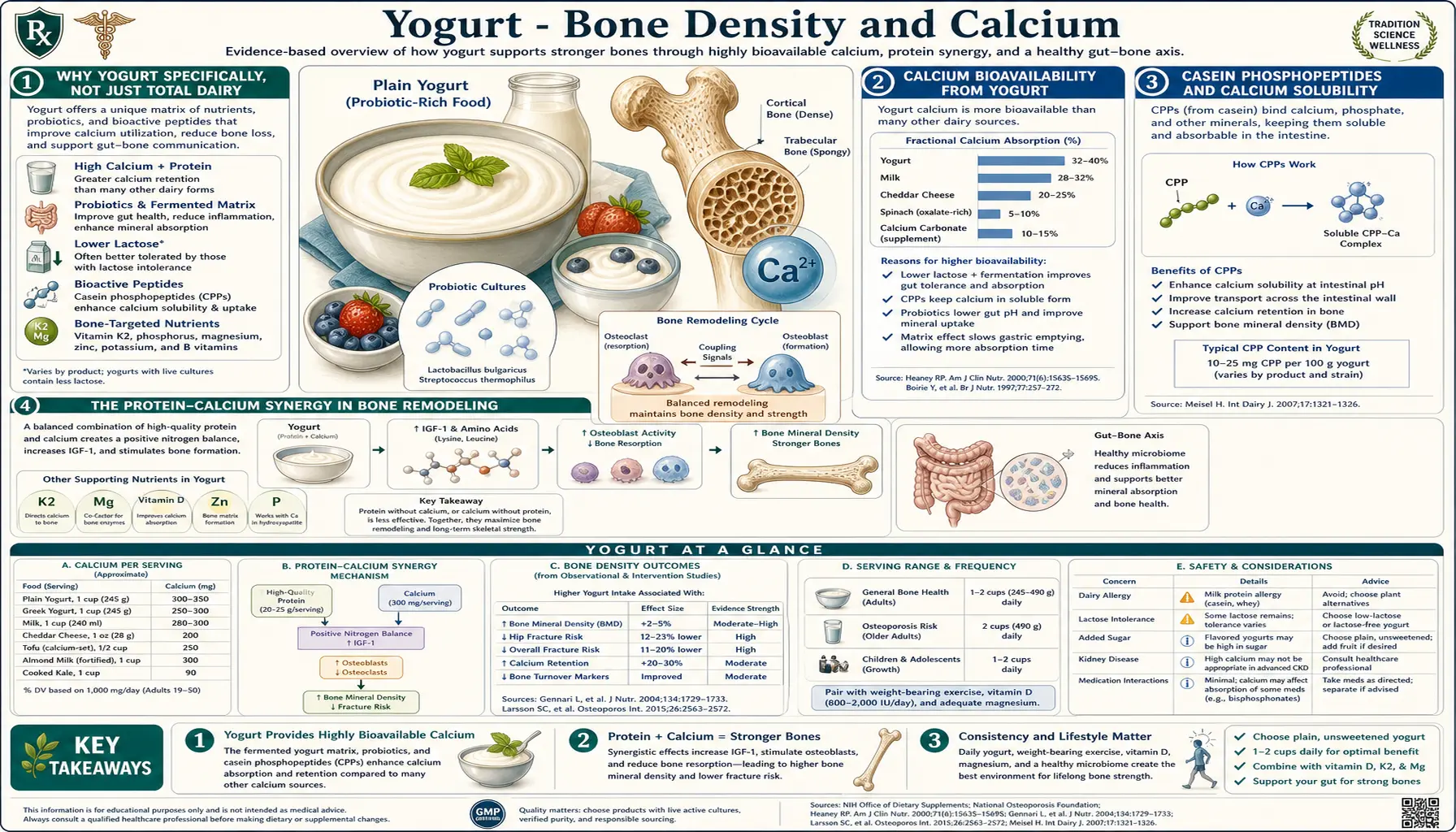 Bone Density and Calcium — scientific infographic poster