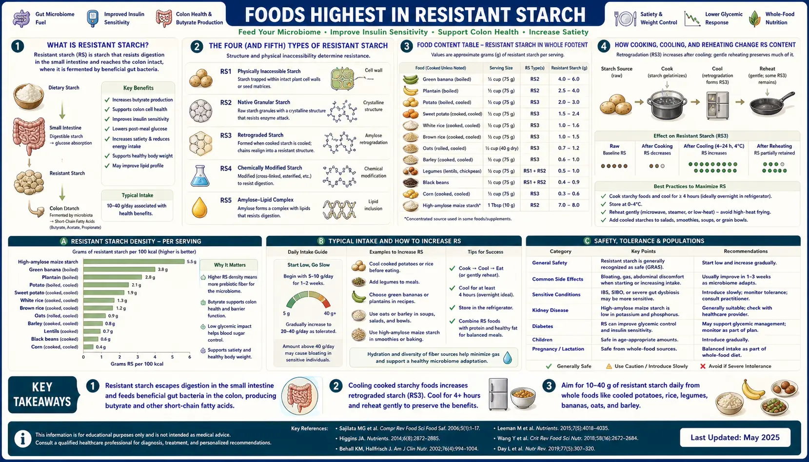 High Resistant Starch Foods — scientific infographic poster