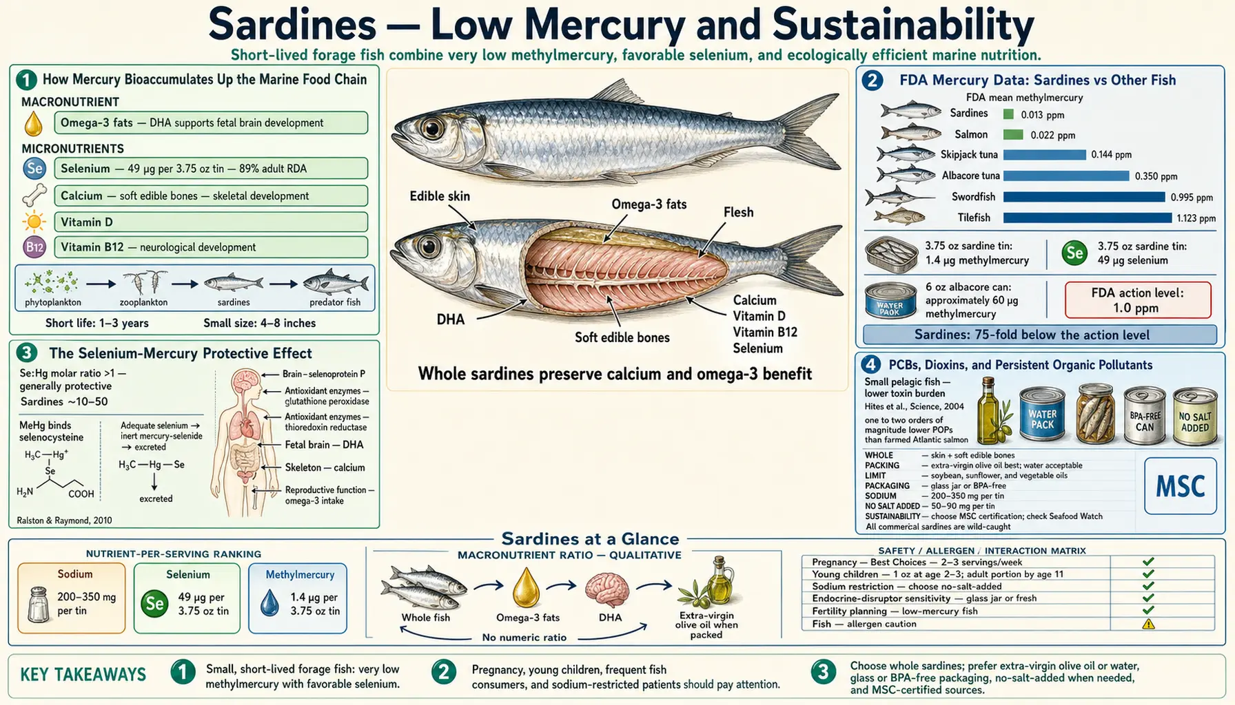 Low Mercury and Sustainability — scientific infographic poster