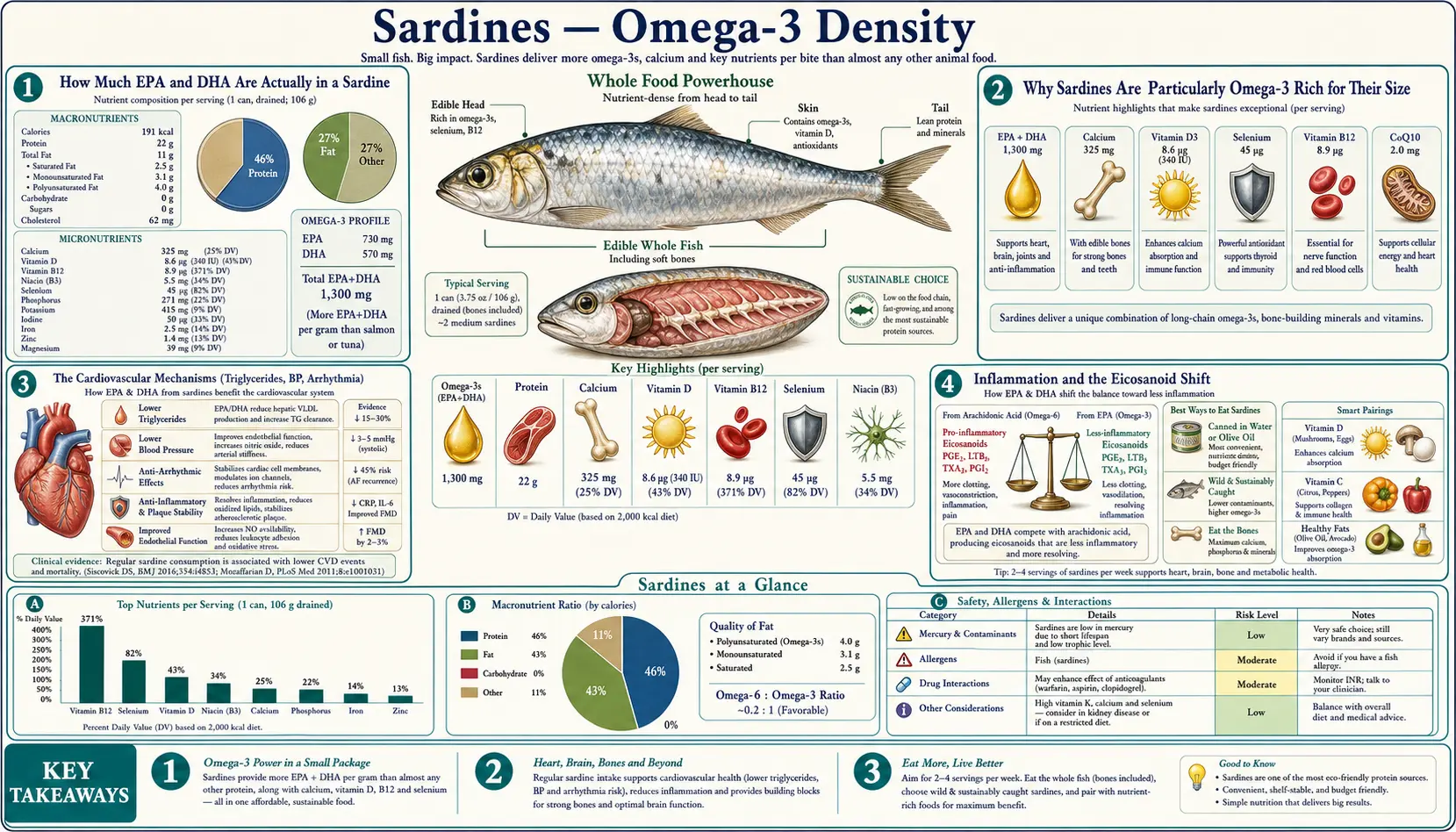 Omega 3 Density — scientific infographic poster