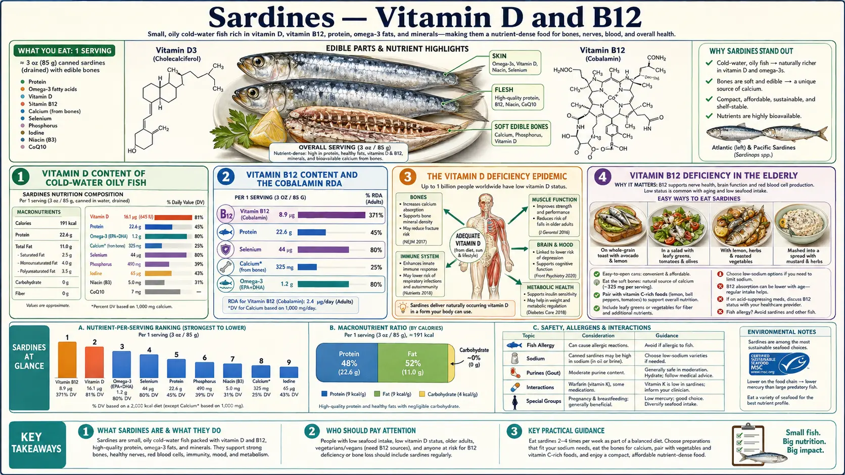 Vitamin D and B12 — scientific infographic poster